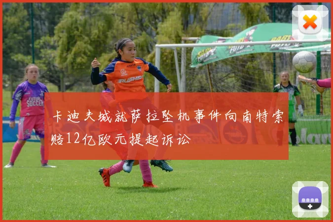 卡迪夫城就萨拉坠机事件向南特索赔12亿欧元提起诉讼