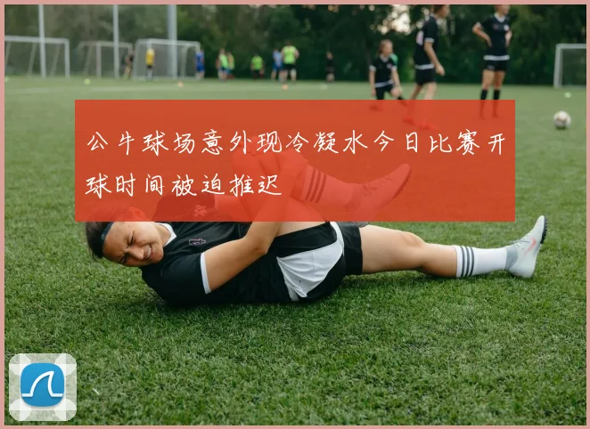 公牛球场意外现冷凝水今日比赛开球时间被迫推迟