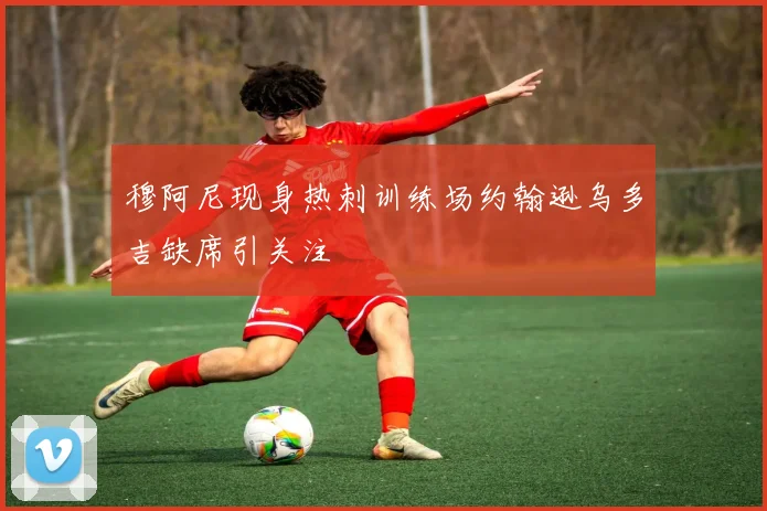 穆阿尼现身热刺训练场约翰逊乌多吉缺席引关注