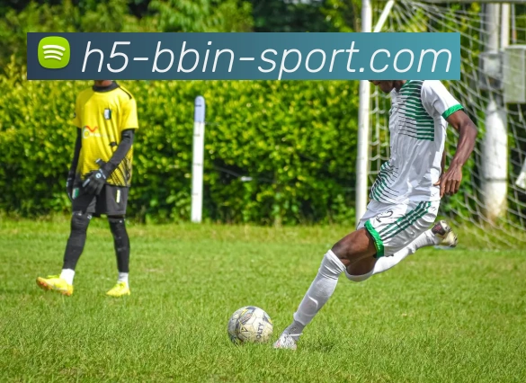 BBIN体育发展历程